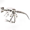 Tyrannosaurus Rex Skeleton Model Kit - 1:15 Scale T-Rex Dino Skeleton - Build & Learn STEM Toy for Kids Ages 6+