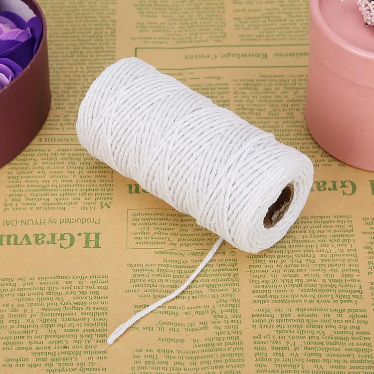 1 Roll 100 Meters 2Ply Cotton Twine DIY Weaving Handmade Craft Rope  (White)-266232.03