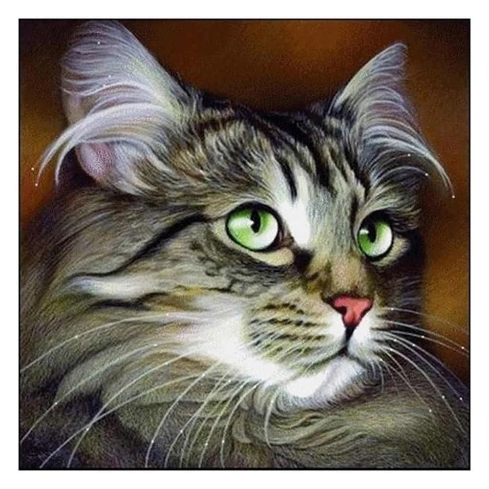 Full Round Diamond Painting - Cat(30*30cm)