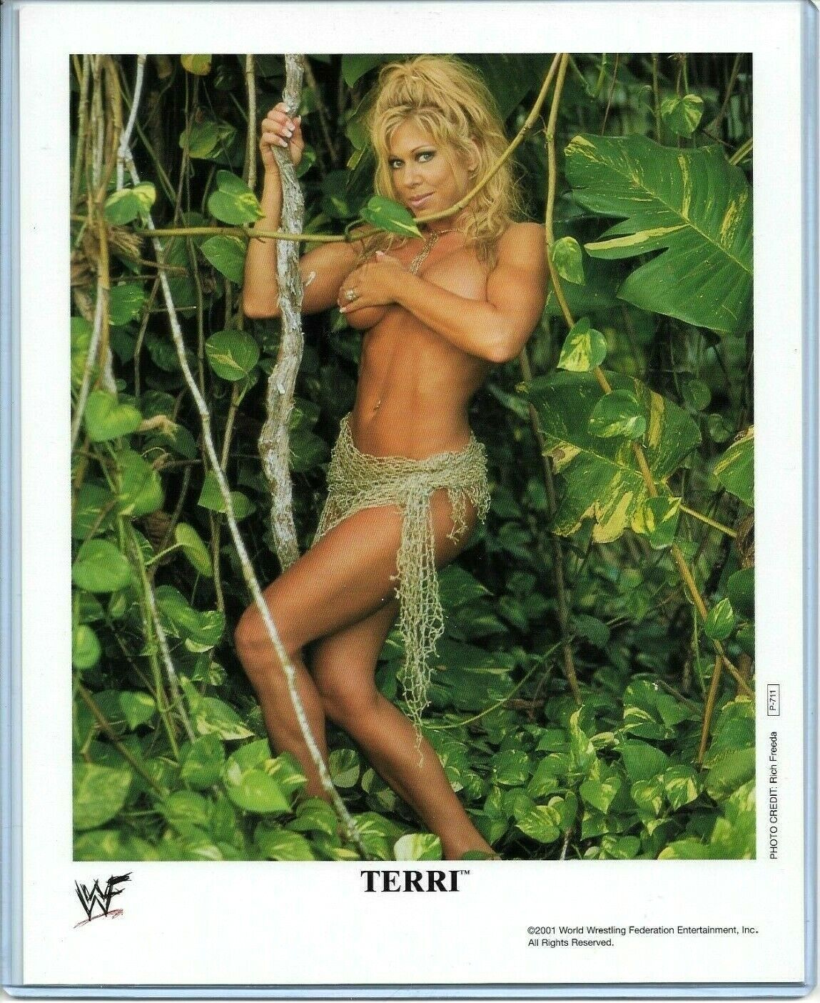 WWE TERRI RUNNELS P-711 OFFICIAL LICENSED AUTHENTIC ORIGINAL 8X10 PROMO Photo Poster painting