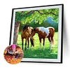 Horse - Full Round Drill Diamond Painting