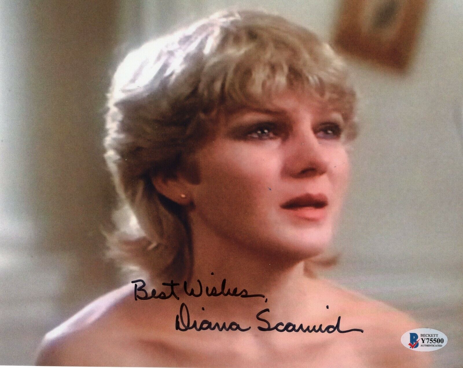 Diana Scarwid Signed Rumble Fish Movie 8x10 Photo Poster painting w/Beckett COA Y75500