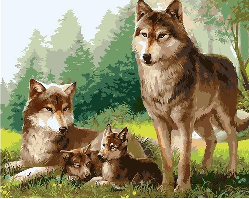 

Wolfs Familly – Paint By Numbers - 40*50CM, 501 Original