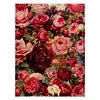 Rose Flowers - Full Round Drill Diamond Painting