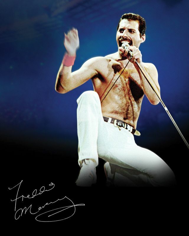 Freddie Mercury - Queen Autograph Signed Photo Poster painting Print