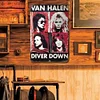 Van Halen - Vintage Metal Signs - 20*30cm/30*40cm - Music