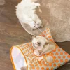 😸Tunnel pour animaux de compagnie avec boule en peluche