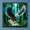 Diamond Painting -DIY Round Drill Hawk(40x40cm)