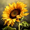Sunflower-Full Round Diamond Painting 30*30CM