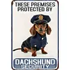 These Premises Protected By Dachshund Security - Metal Tin Signs(8*12Inch/12*16Inch)