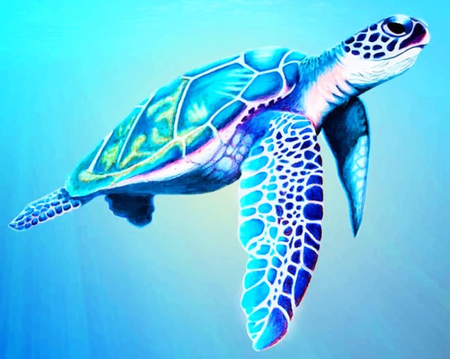 

Sea Turtle – Paint By Numbers - 40*50CM, 501 Original