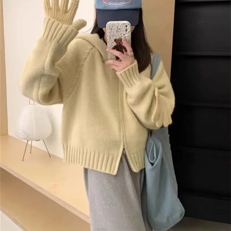 Churchf Churchf Style Multi-Color Hooded Double Zipper Knit Cardigan Women's New Short Hair Sweater Hoodie Autumn And Winter Small Coat