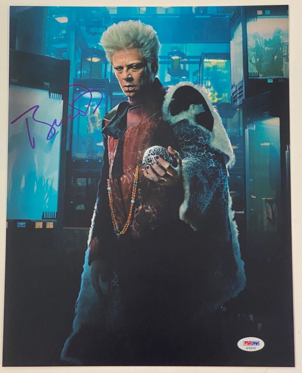 Benicio Del Toro Signed 11x14 Photo Poster painting Guardians of the Galaxy PSA/DNA COA