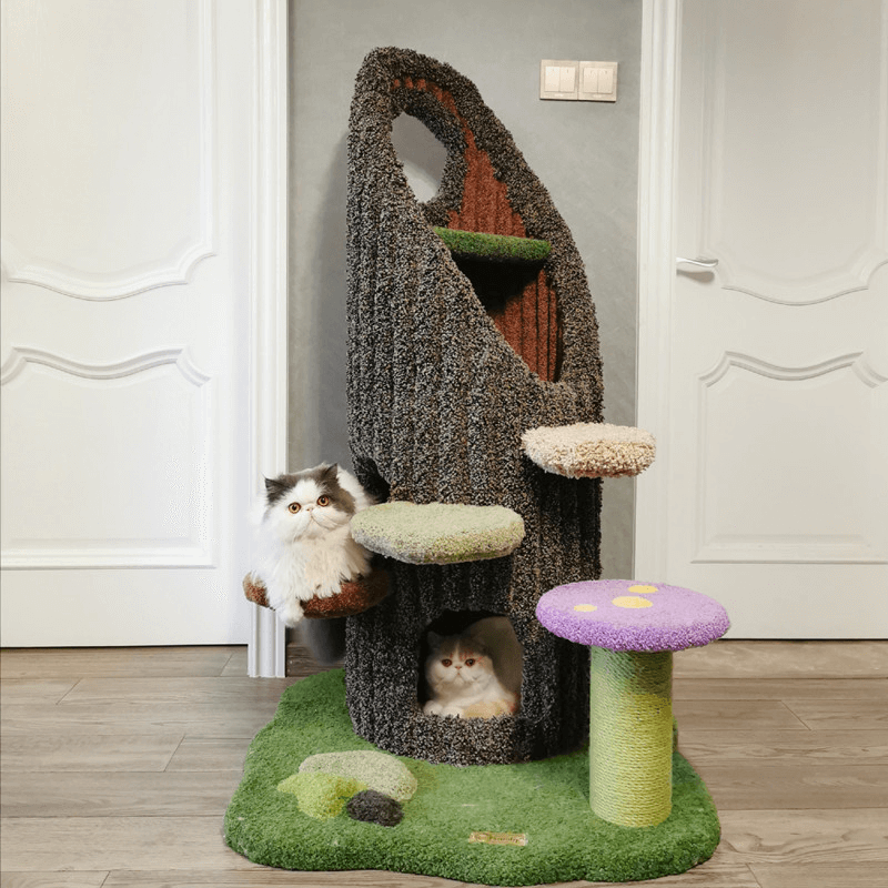 cat scratching tree trunk