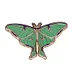 Enchanted Night Wing