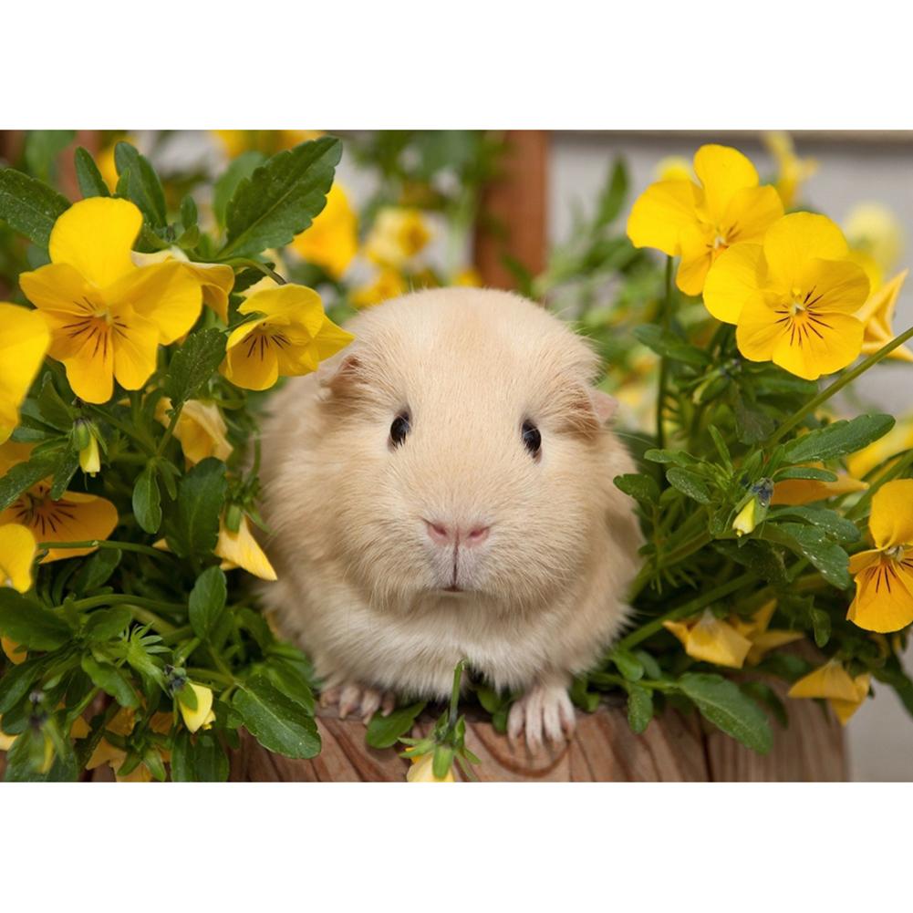 

Cute Hamster-Round Drill Diamond Painting-40*30CM, 501 Original