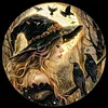 Witch Crow-14CT Stamped Cross Stitch 40*40cm tapestrymarket