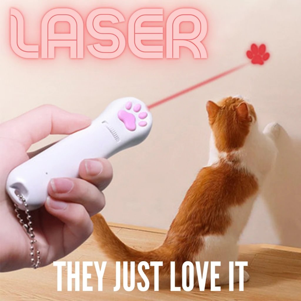 Interactive Laser Pen