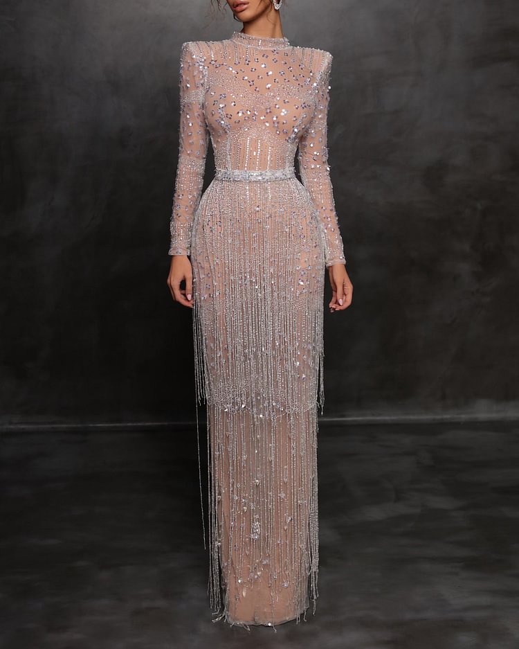 Elegant Sequin Sheer Dress