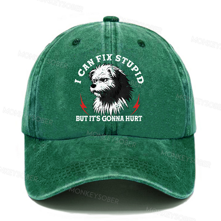 I Can Fix Stupid But It's Gonna Hurt Funny Dog King Washed Baseball Caps