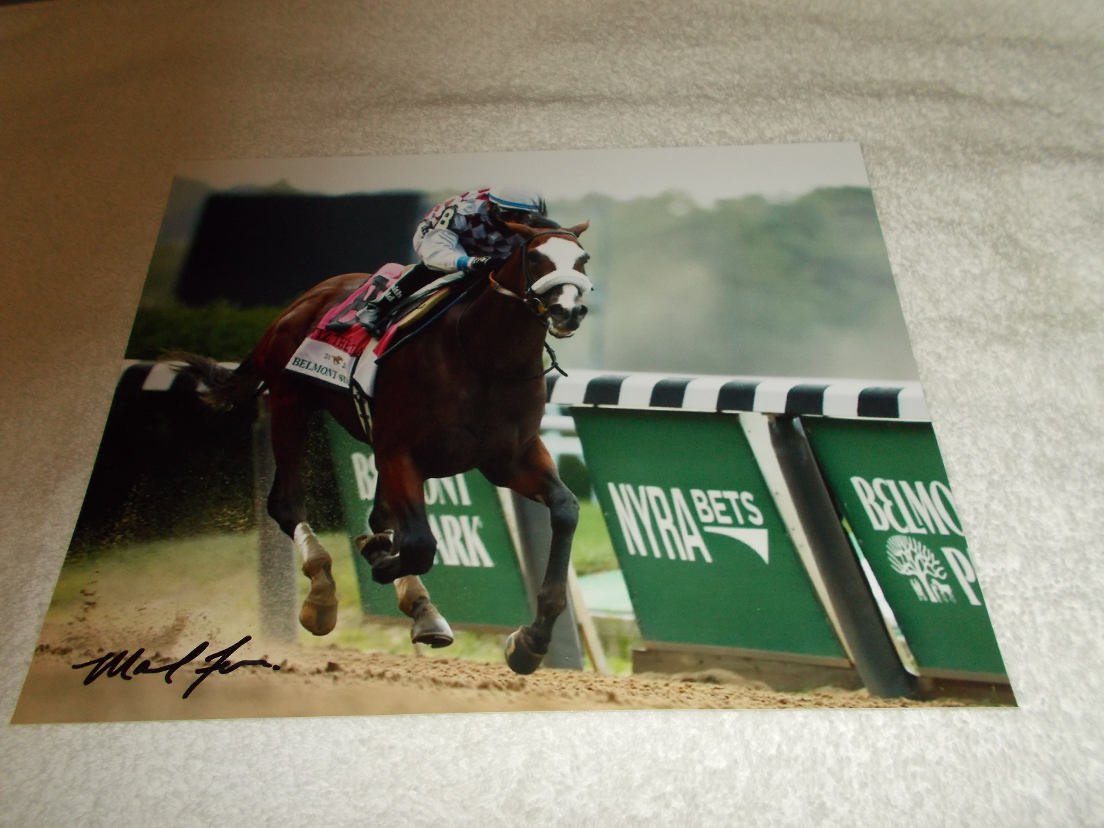 MANUEL FRANCO TIZ THE LAW SIGNED 2020 BELMONT STAKES 8x10 HORSE RACING Photo Poster painting