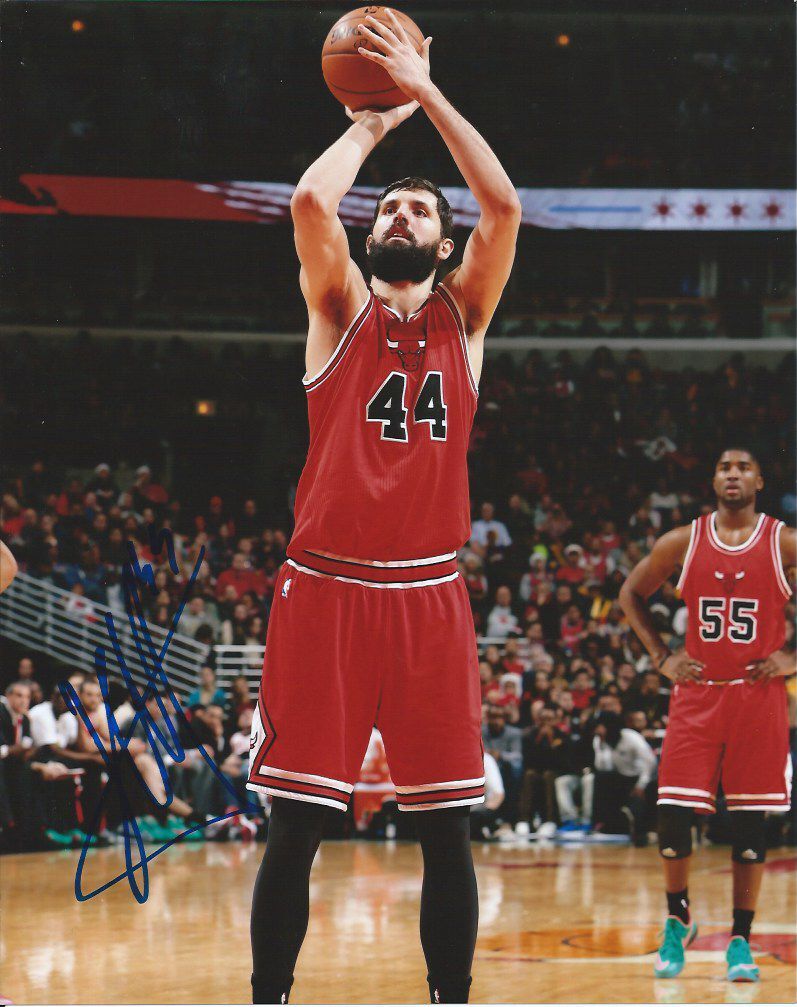 NIKOLA MIROTIC signed autographed CHICAGO BULLS 8x10 Photo Poster painting w/COA PROOF