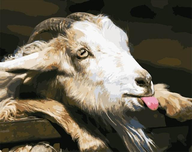

Goat Tongue – Paint By Numbers - 40*50CM, 501 Original