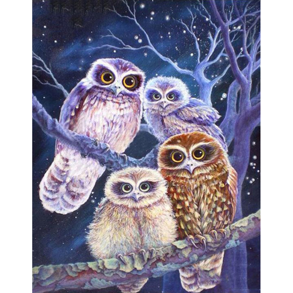 

Owl - Round Drill Diamond Painting - 40*50CM, 501 Original