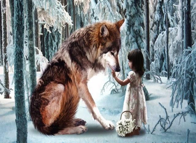

Wolf and Little Girl – Paint By Numbers - 40*50CM, 501 Original