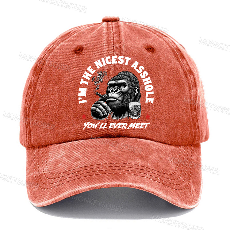 I'm The Nicest Asshole You'll Ever Meet Sarcastic Gift Washed Baseball Caps