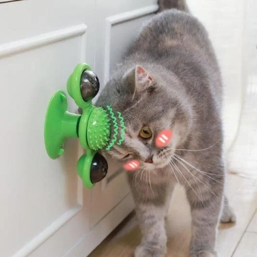 Cat Spinning Windmill Toy