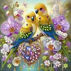 (Pre-Framed)Diamond Painting-DIY Crystal Rhinestone Two Bird(25x25cm)