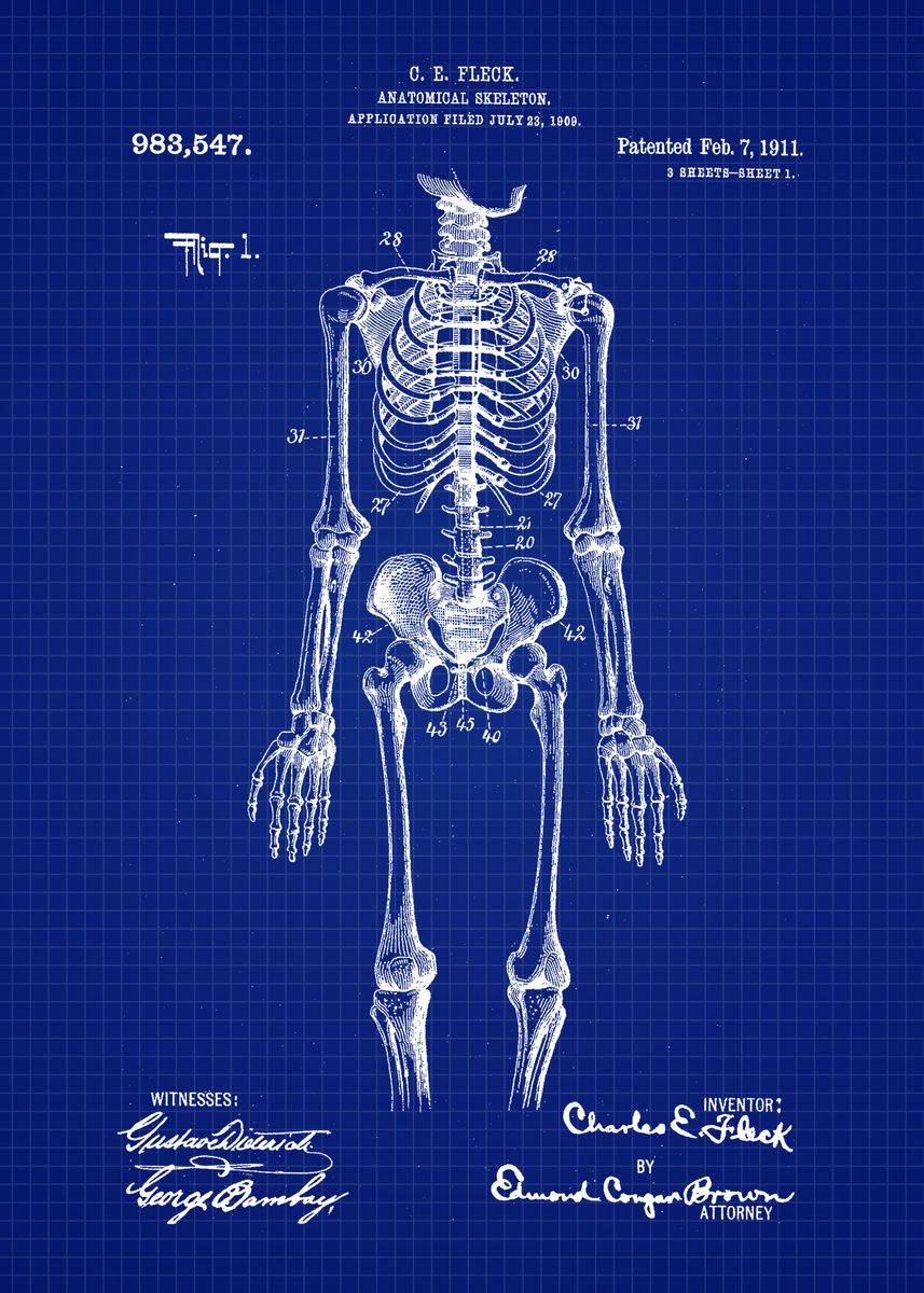 Anatomical Skeleton Blackboard Poster Printing Canvas Painting Wall Art Picture Living Room Placement Home Decoration