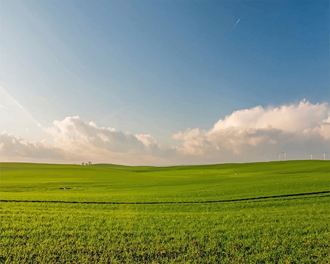 

Green Field – Paint By Numbers - 40*50CM, 501 Original
