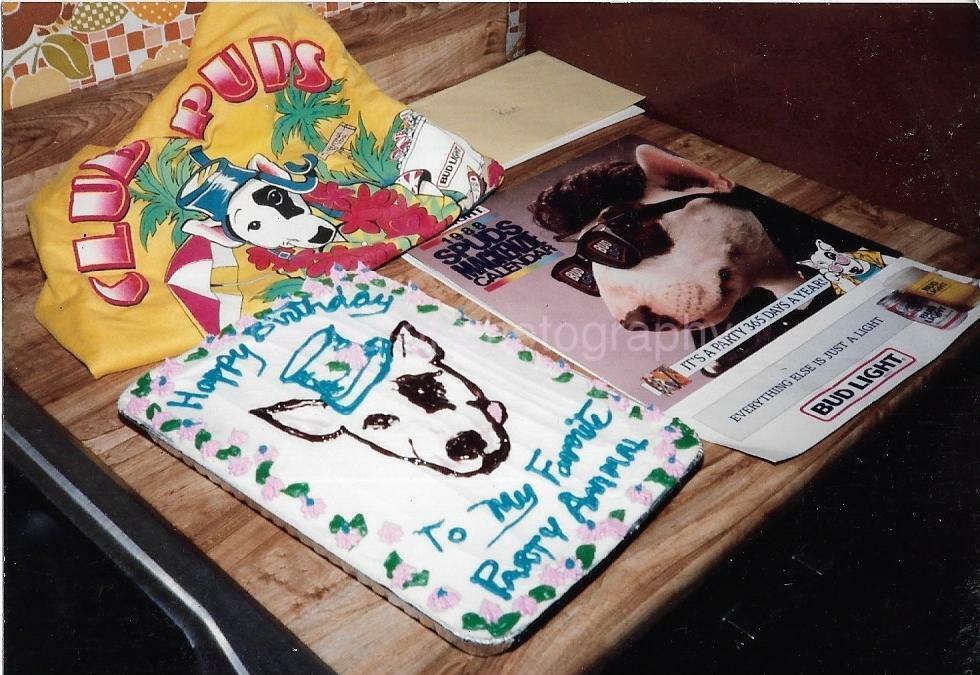 Party Animal Cake FOUND Photo Poster paintingGRAPH Color DOG BIRTHDAY Original VINTAGE 111 14 Q