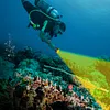 LED Dive Light Rechargeable Scuba Diving Flashlight Underwater Light for Diving