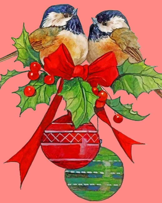 

Christmas Birds – Paint By Numbers - 40*50CM, 501 Original