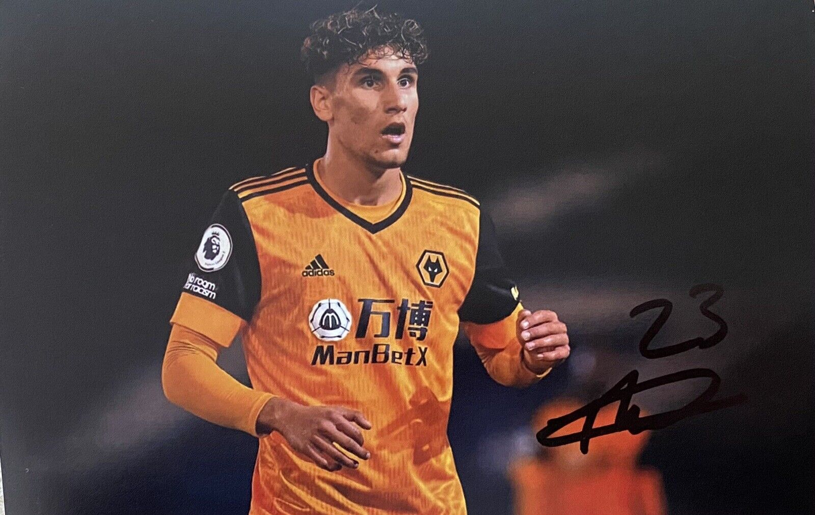 Theo Corbeanu Genuine Hand Signed Wolves 6X4 Photo Poster painting