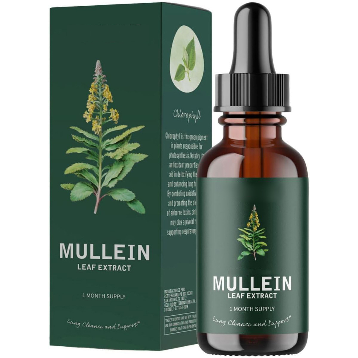 Mullein + Chlorophyll Lung Detox Drops
