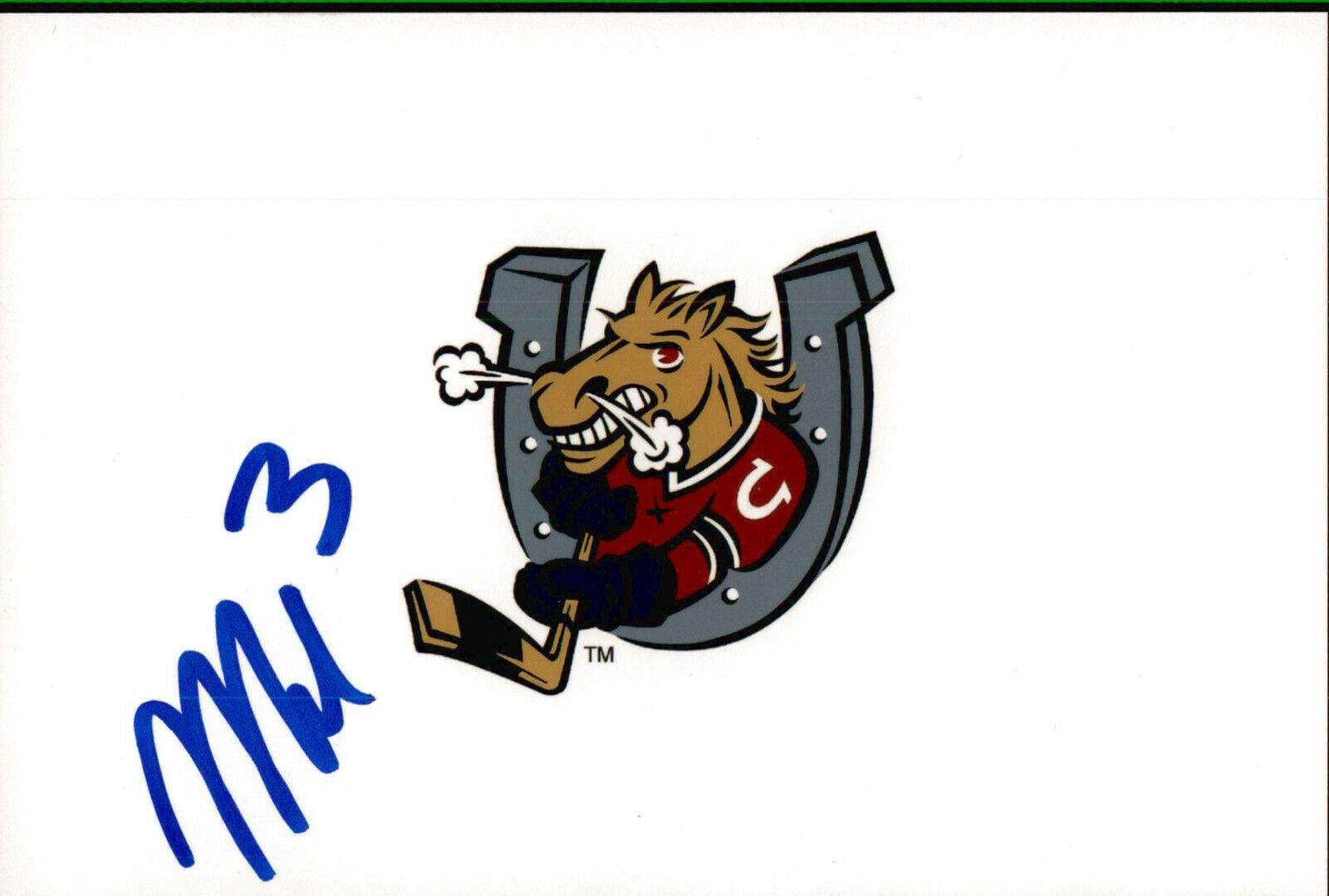 Mathew Matt Hill SIGNED autographed 4x6 Photo Poster painting ANAHEIM DUCKS / BARRIE COLTS