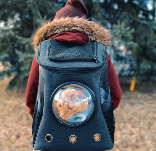 your fat cat backpack