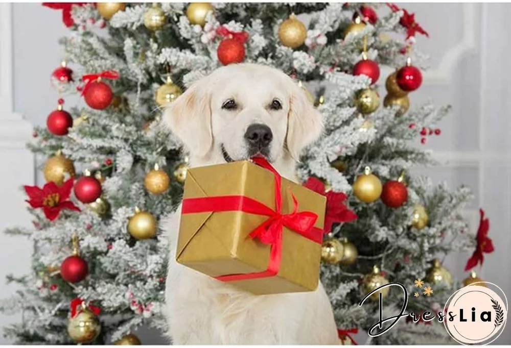 5 Sizes New Santa Claus Riding Outfit Christmas Pet Cat Dog Costume Party Small/Medium/Large Cat Dog Clothes Dress Up Pet Costume