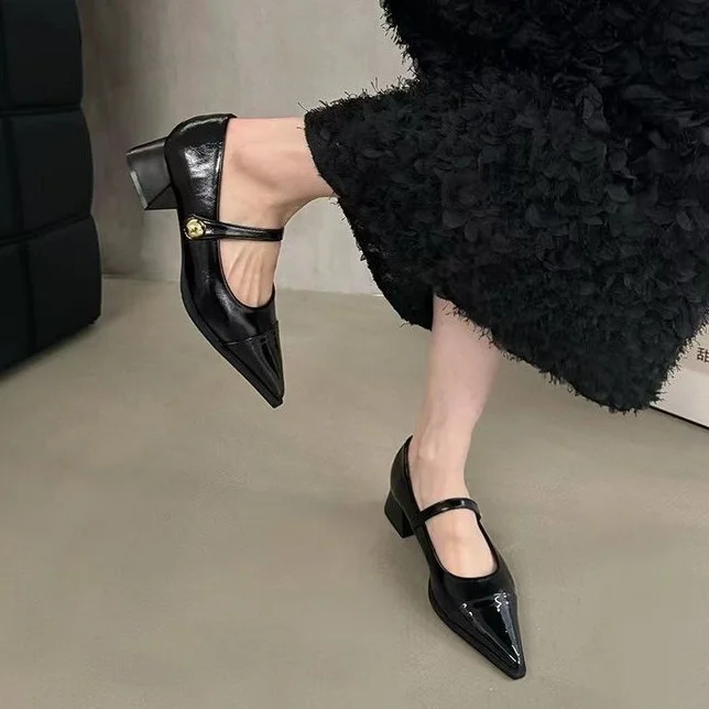 Yyvonne Small Leather Shoes Women 2025 New Spring Thick Heel Low Heel High Heels Retro French Temperament Mary Jane Single Shoes