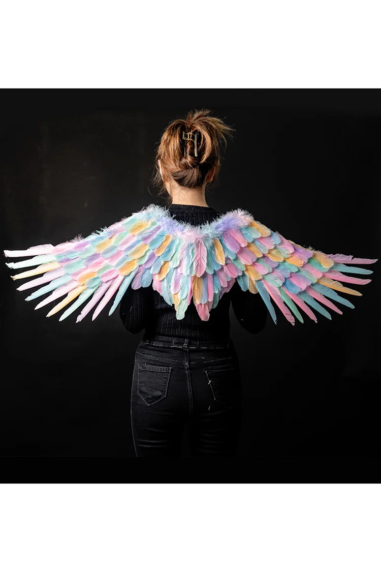 Angel Costume Rainbow Feather Wing