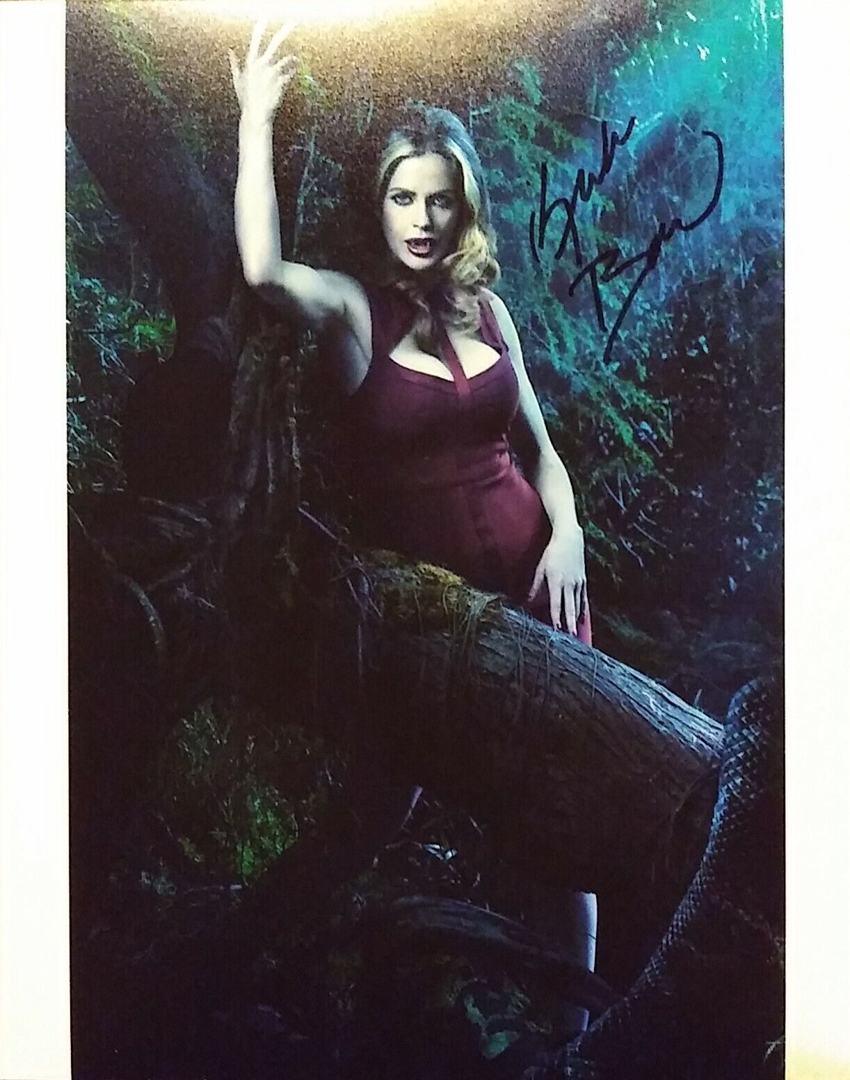 Kristin Bauer signed 8x10