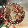 Xmas cat DIY Diamond Painting Kit 20cm for Adults