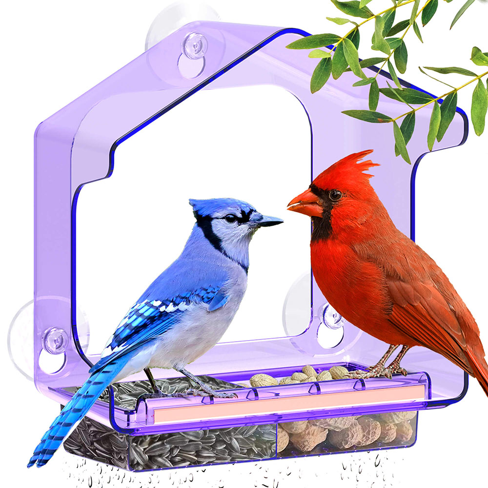 LUJII Window Bird Feeder with Strong Suction Cup, Purple