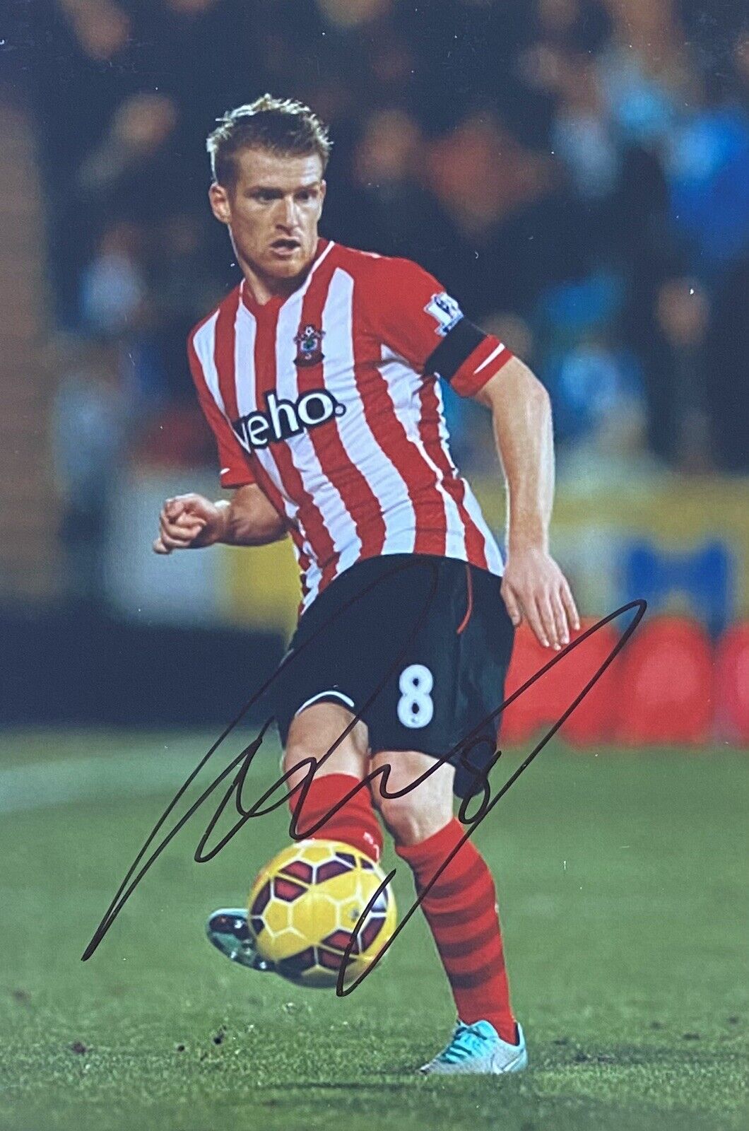 Steven Davis Genuine Hand Signed Southampton 6X4 Photo Poster painting 2