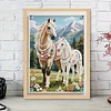 Diamond Painting-DIY Special Shaped Drill Pearl Painting Horse(30x40cm)