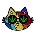 Gato Arcoíris Feliz